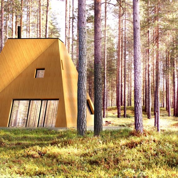 nexus contemporary wooden house in wild forest nature